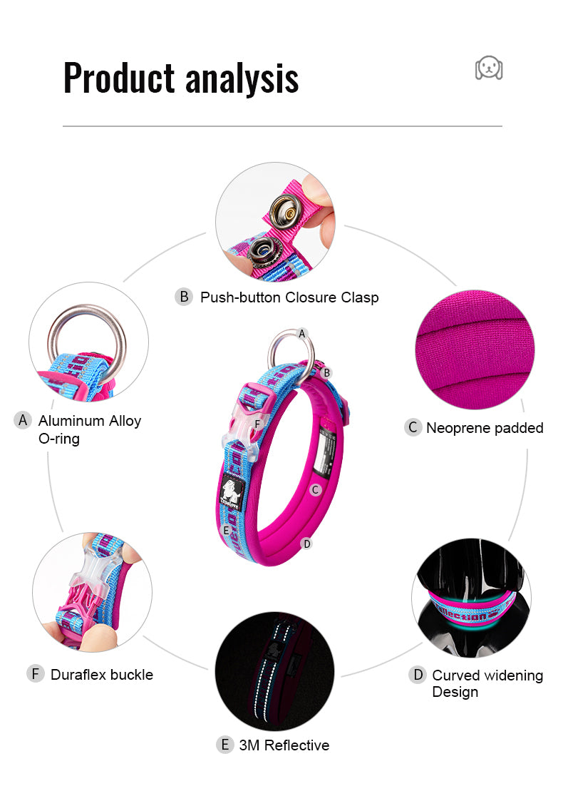 True Love Neoprene Padded Collar